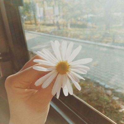 2023澳门资料大全正版下载手机版